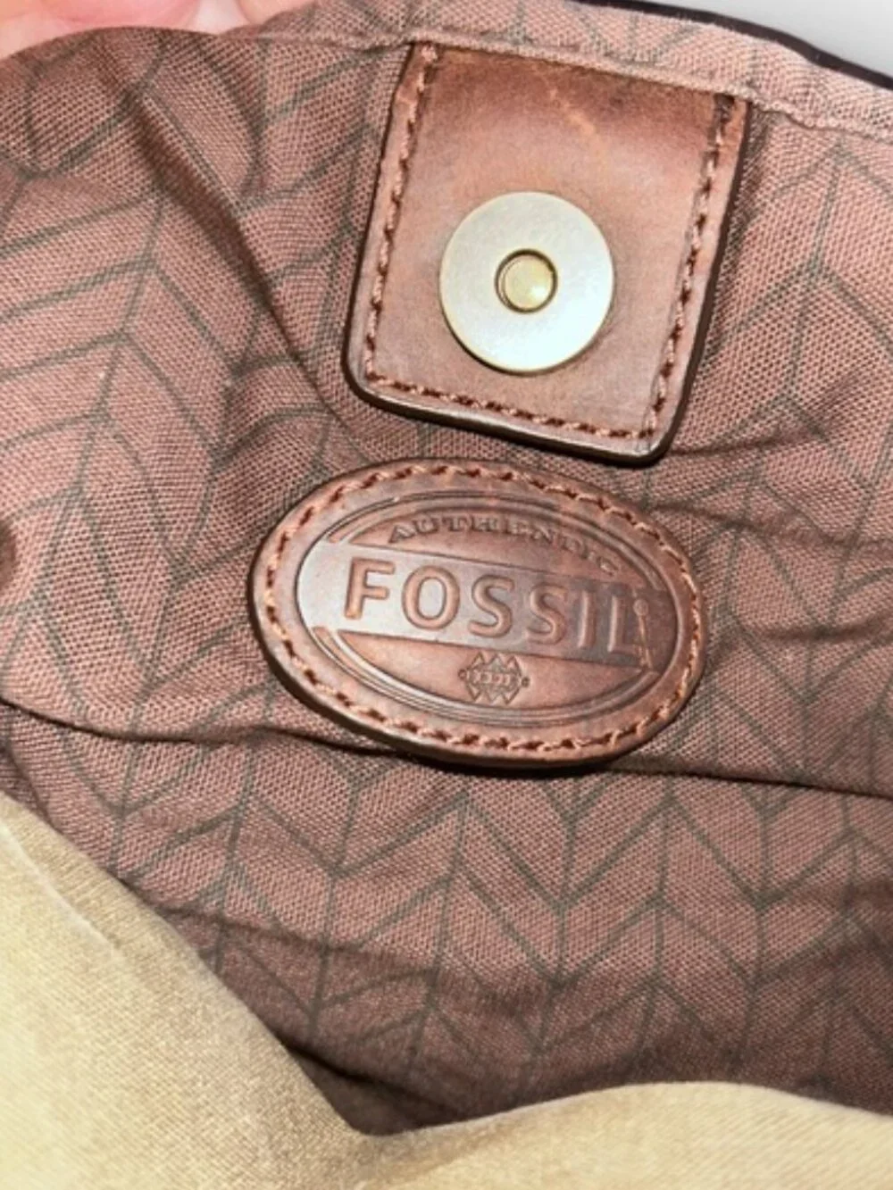 Fossil out frica